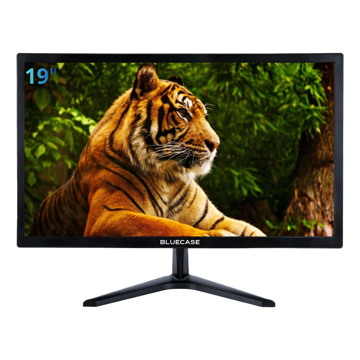 MONITOR LED 19" BM19K4HVW BLUECASE 75HZ HDMI VGA WIDESCREEN PRETO