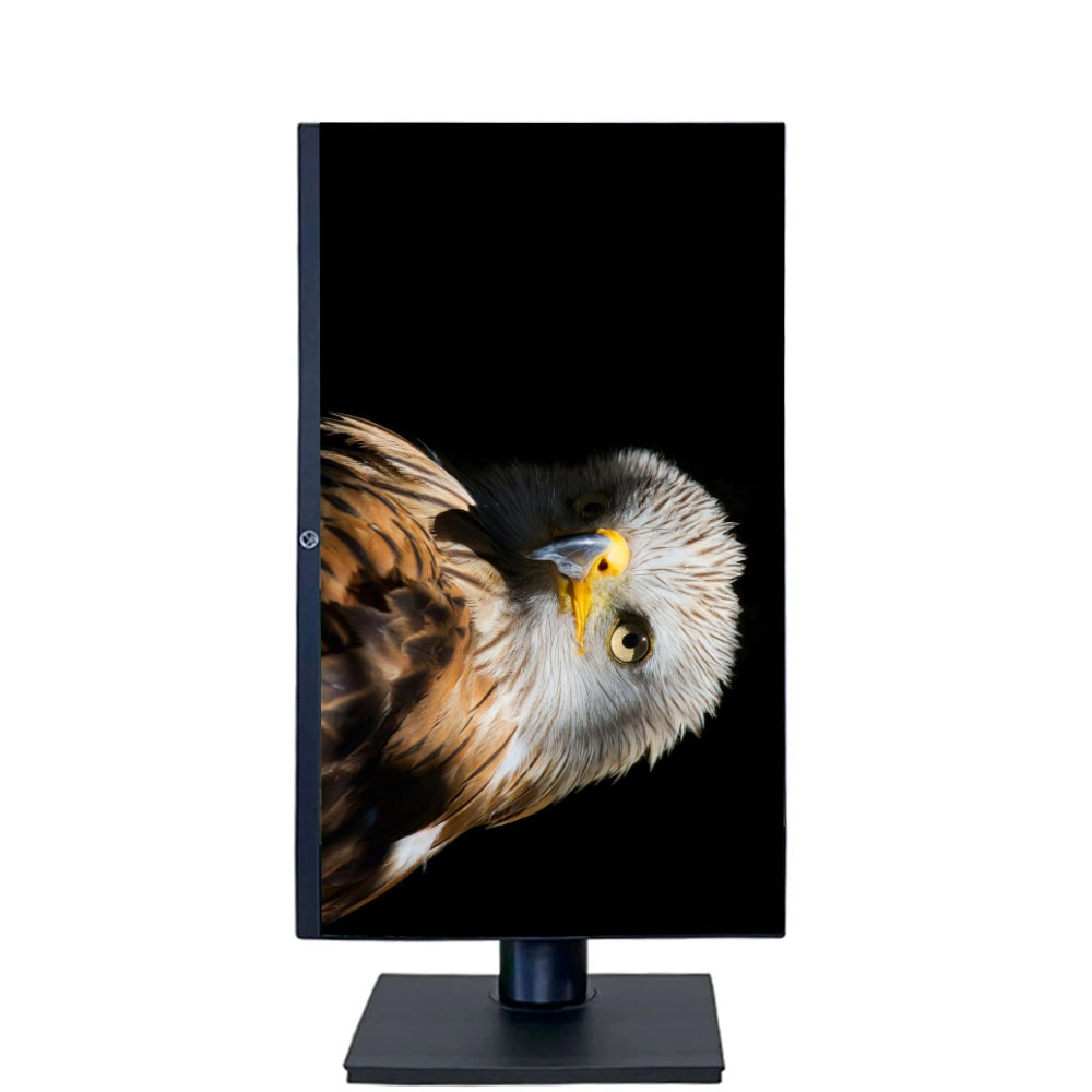 MONITOR LED 23.8" FHD BRAZILPC ERGONÔMICO ANTIRREFLEXO FRAMELESS 75HZ PRETO BPC24SADP