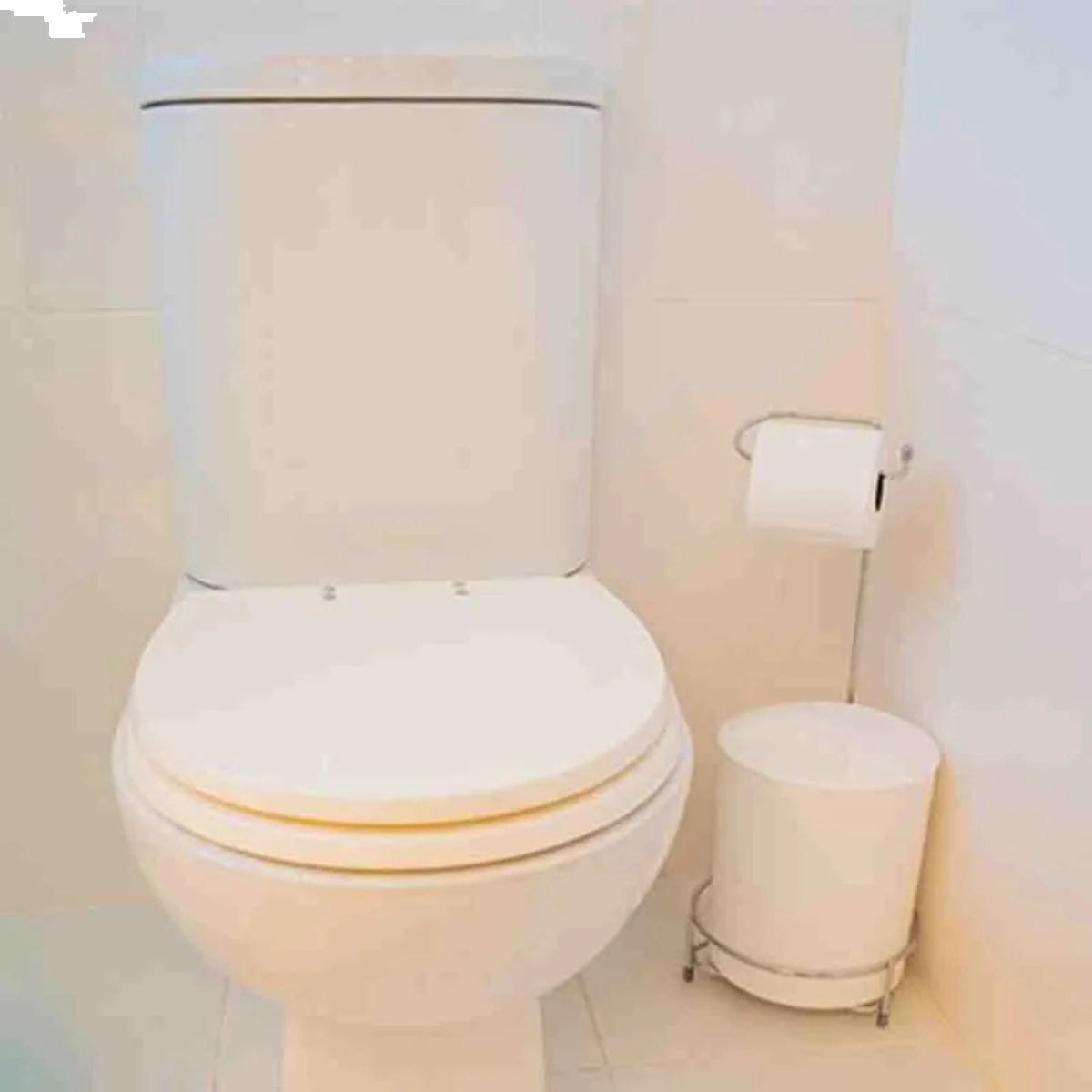 PAPELEIRA COM LIXEIRA MONACO L230 X A500 X P195 MM DOURADO SCHMITT