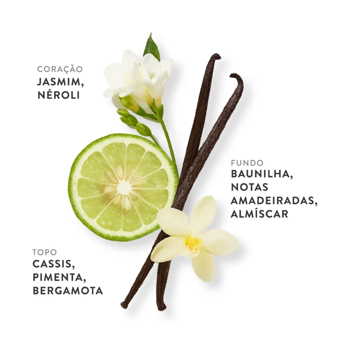 PERFUME ETLEE BLOOMING JASMINE EAU DE PARFUM FEMININO 30ML PERFUME ETLEE BLOOMING JASMINE EAU DE PARFUM FEMININO 30ML