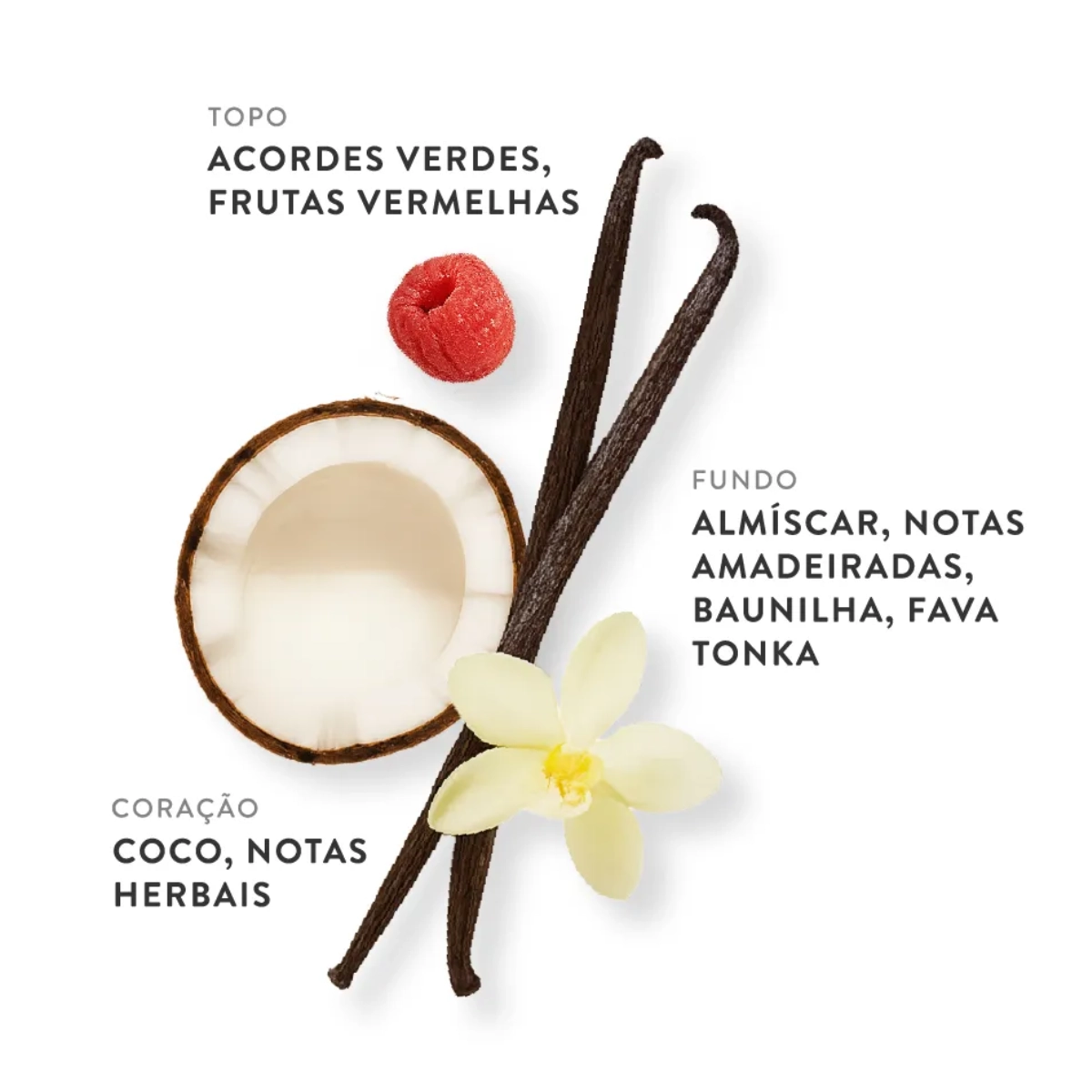 PERFUME ETLEE COCONUT CREAM EAU DE PARFUM FEMININO 30ML PERFUME ETLEE COCONUT CREAM EAU DE PARFUM FEMININO 30ML