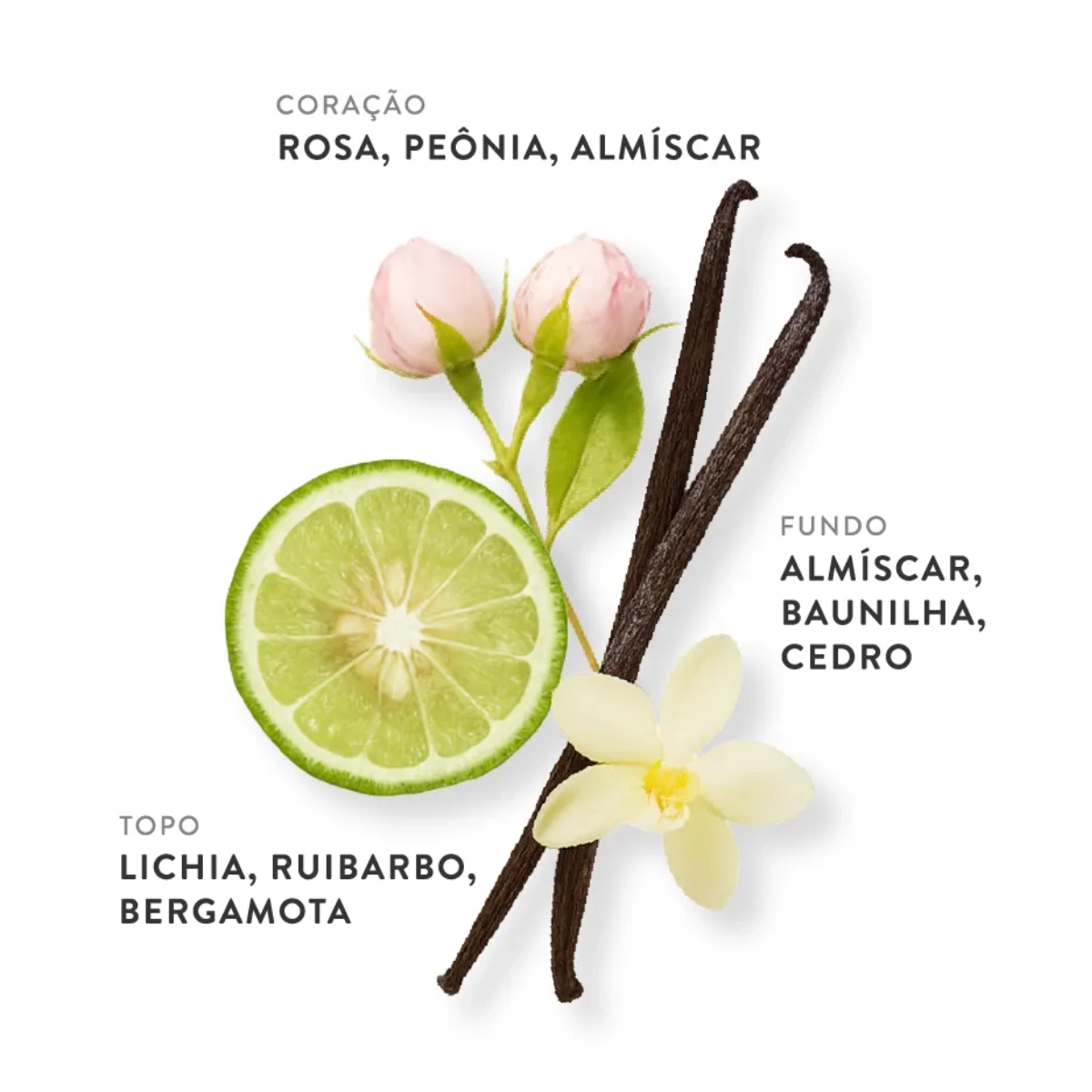 PERFUME ETLEE SPARKLING ROSE EAU DE PARFUM FEMININO 30ML PERFUME ETLEE SPARKLING ROSE EAU DE PARFUM FEMININO 30ML