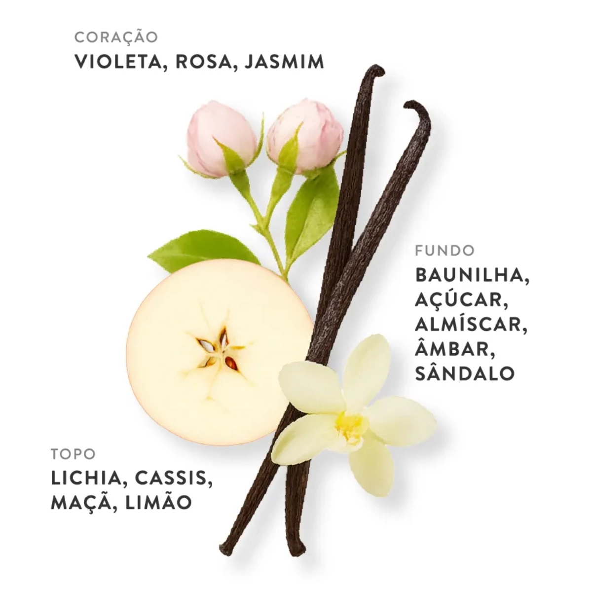 PERFUME ETLEE SWEET LYCHEE EAU DE PARFUM FEMININO 30ML PERFUME ETLEE SWEET LYCHEE EAU DE PARFUM FEMININO 30ML