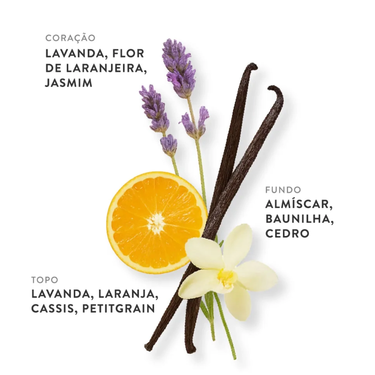PERFUME ETLEE VANILLA CASHMERE EAU DE PARFUM FEMININO 30ML PERFUME ETLEE VANILLA CASHMERE EAU DE PARFUM FEMININO 30ML