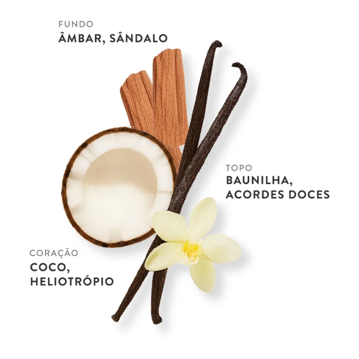 PERFUME ETLEE VANILLA E AMBER EAU DE PARFUM FEMININO 30ML PERFUME ETLEE VANILLA E AMBER EAU DE PARFUM FEMININO 30ML