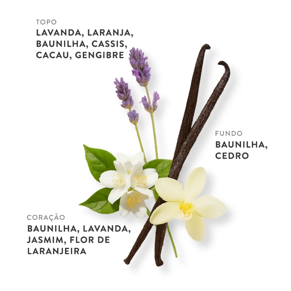 PERFUME ETLEE VANILLA E LAVENDE EAU DE PARFUM FEMININO 30ML PERFUME ETLEE VANILLA E LAVENDE EAU DE PARFUM FEMININO 30ML