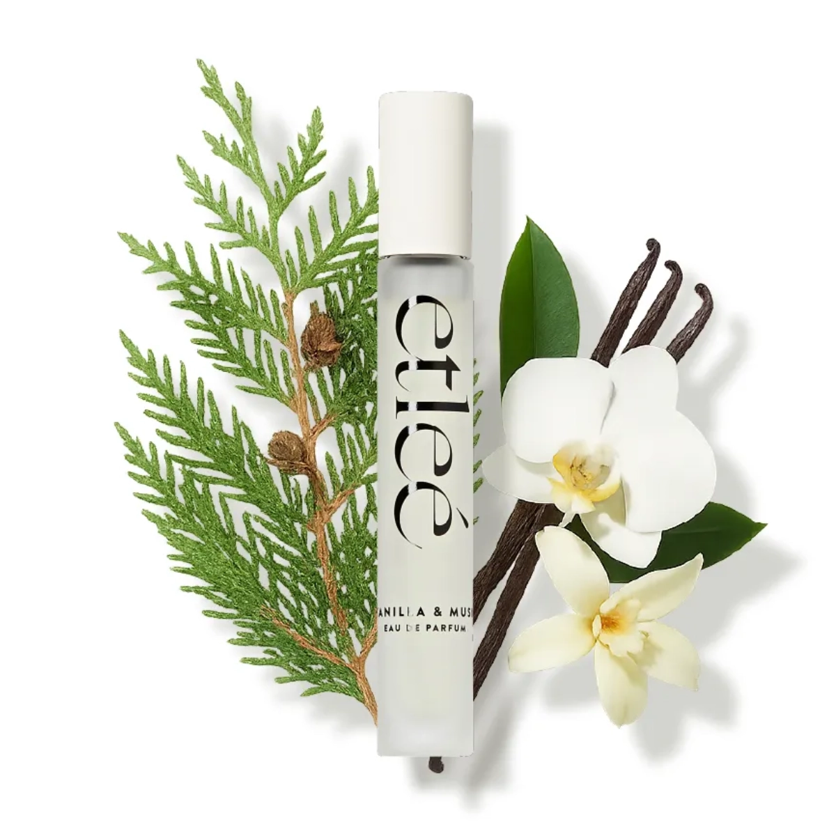 PERFUME ETLEE VANILLA E MUSK EAU DE PARFUM FEMININO 10ML