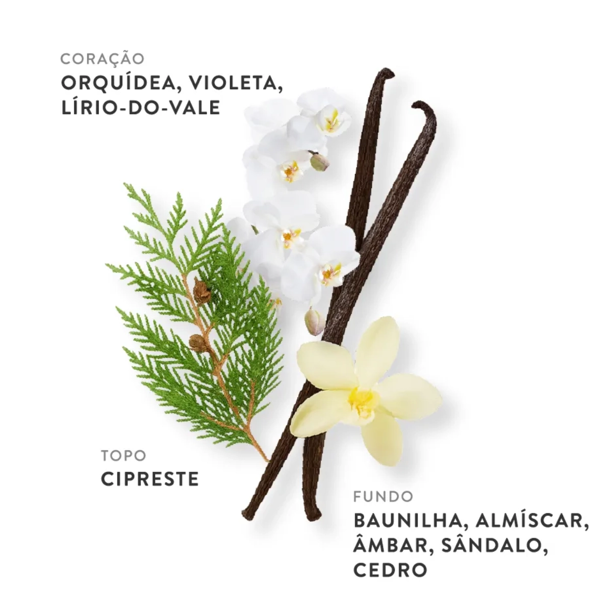 PERFUME ETLEE VANILLA E MUSK EAU DE PARFUM FEMININO 30ML PERFUME ETLEE VANILLA E MUSK EAU DE PARFUM FEMININO 30ML