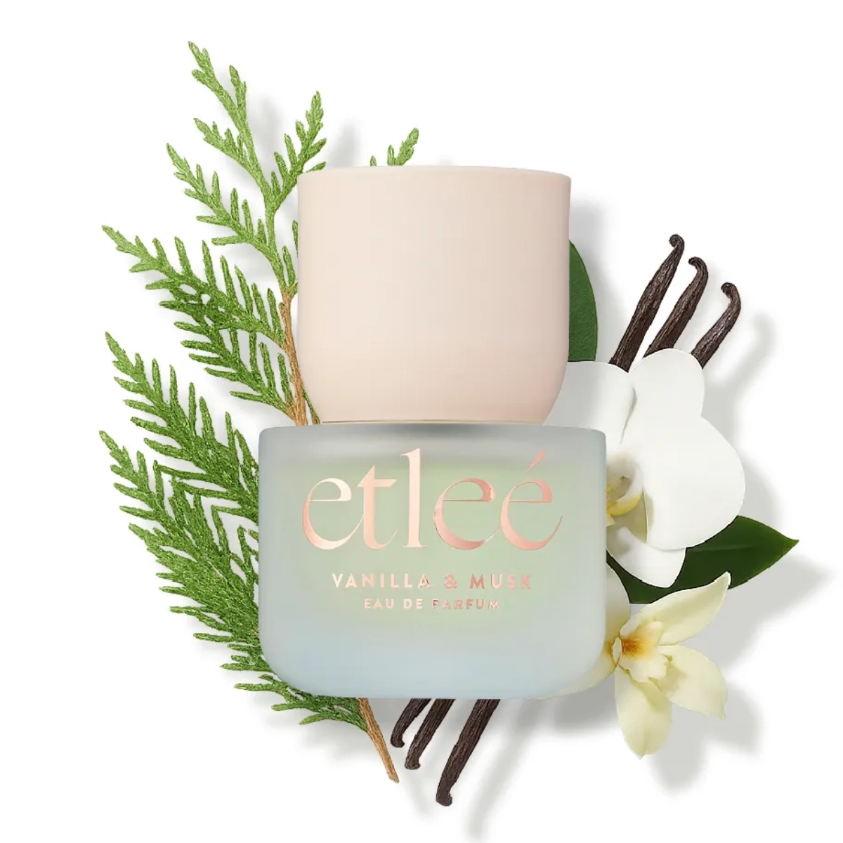 PERFUME ETLEE VANILLA E MUSK EAU DE PARFUM FEMININO 30ML PERFUME ETLEE VANILLA E MUSK EAU DE PARFUM FEMININO 30ML