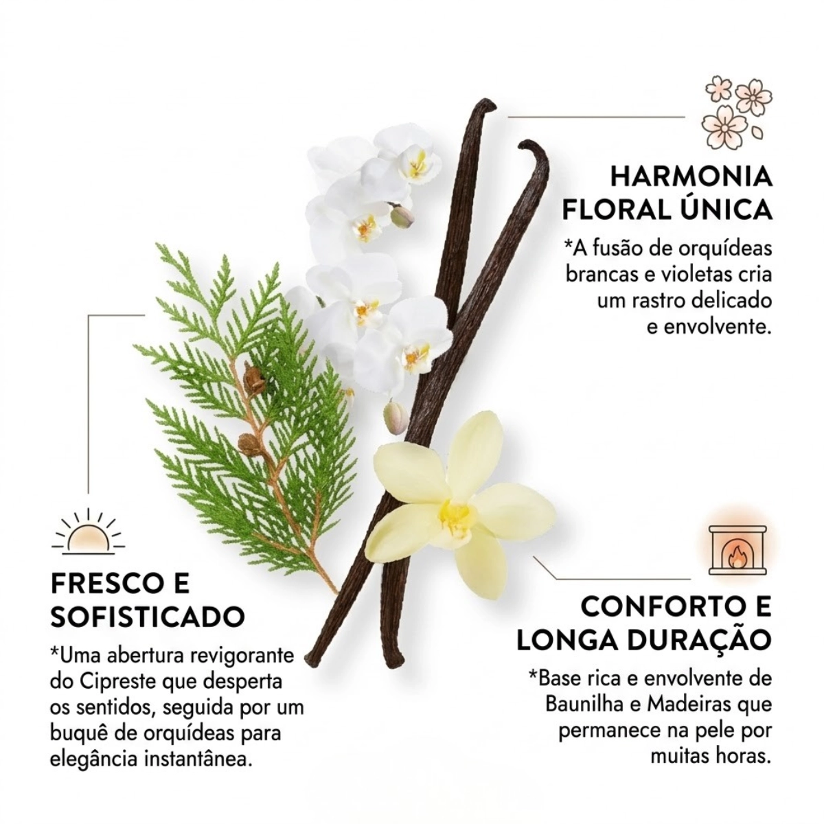 PERFUME ETLEE WOODY E MUSKY EAU DE PARFUM FEMININO 10ML PERFUME ETLEE WOODY E MUSKY EAU DE PARFUM FEMININO 10ML