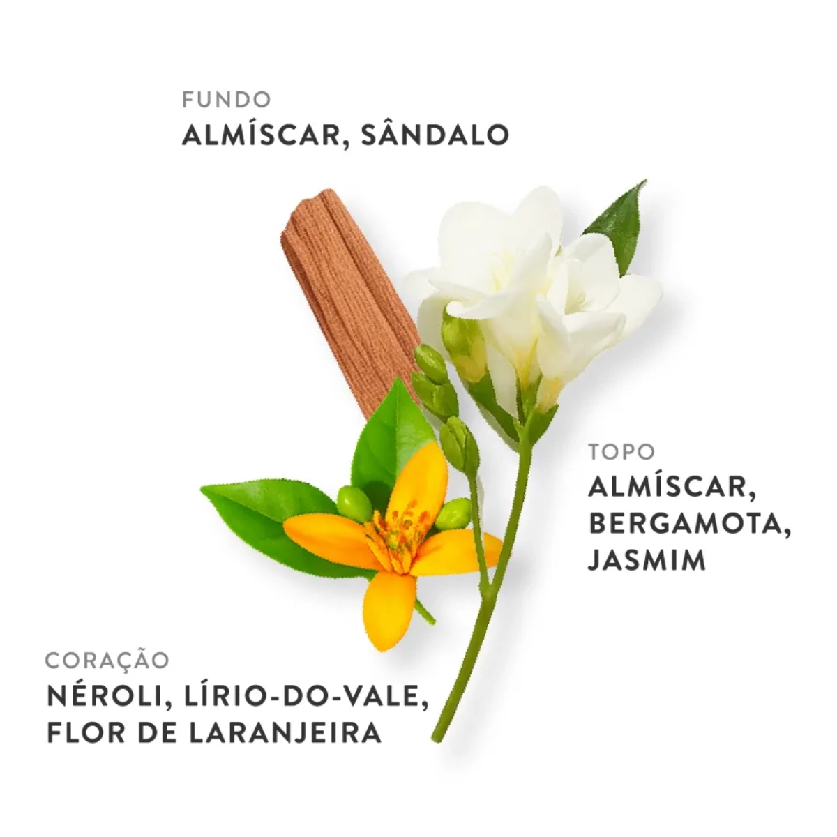 PERFUME ETLEE WOODY E MUSKY EAU DE PARFUM FEMININO 30ML PERFUME ETLEE WOODY E MUSKY EAU DE PARFUM FEMININO 30ML