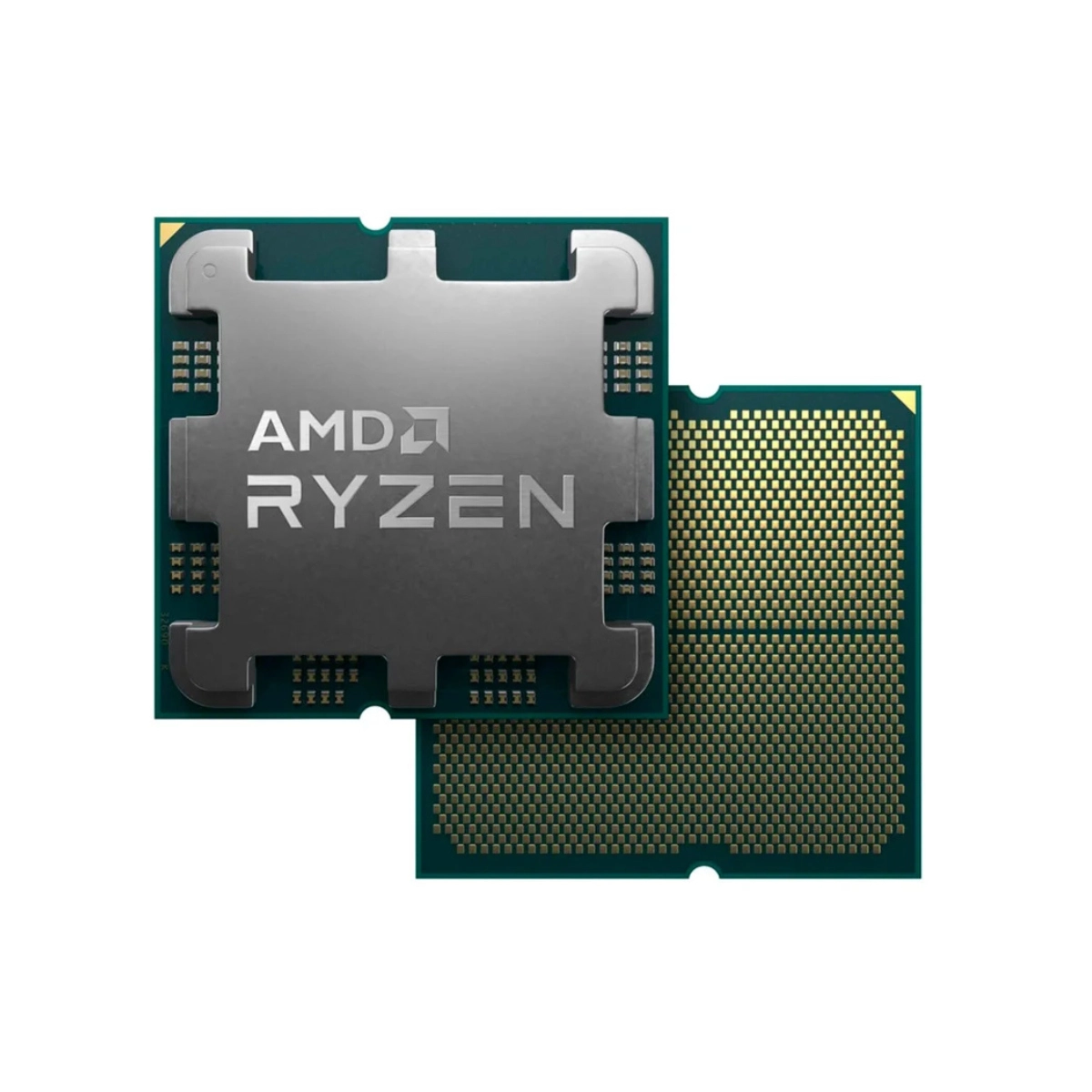 PROCESSADOR AMD AM5 RYZEN 5 8500G 3.5GHZ 6 NUCLEOS BOX