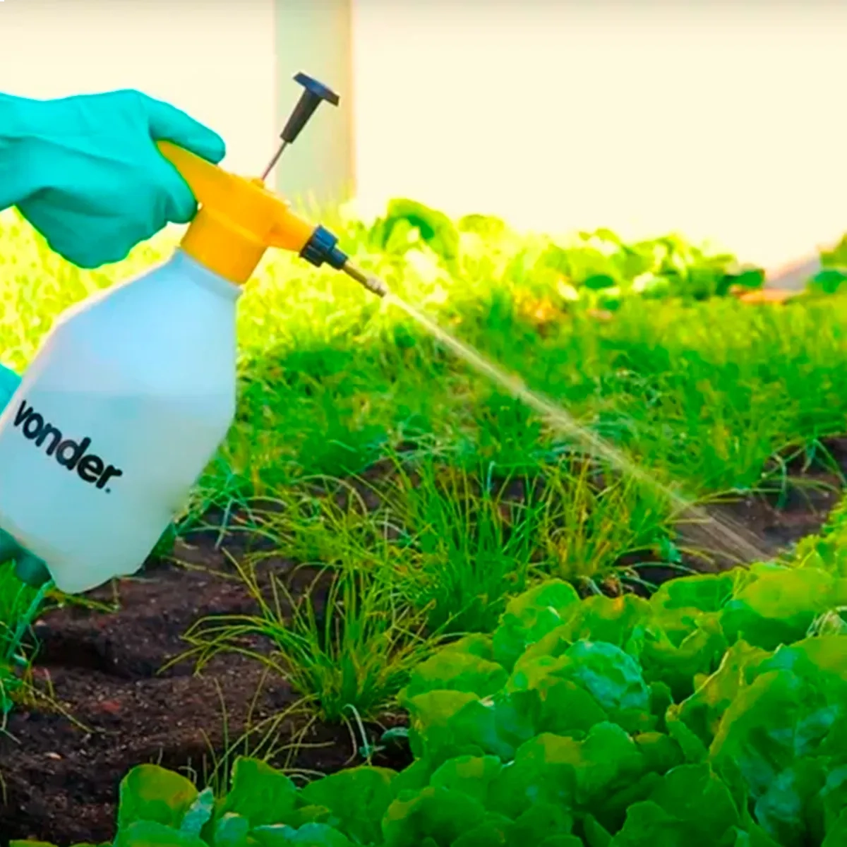 PULVERIZADOR MANUAL BORRIFADOR SPRAY ALTA PRESSÃO 2 LITROS BRANCO