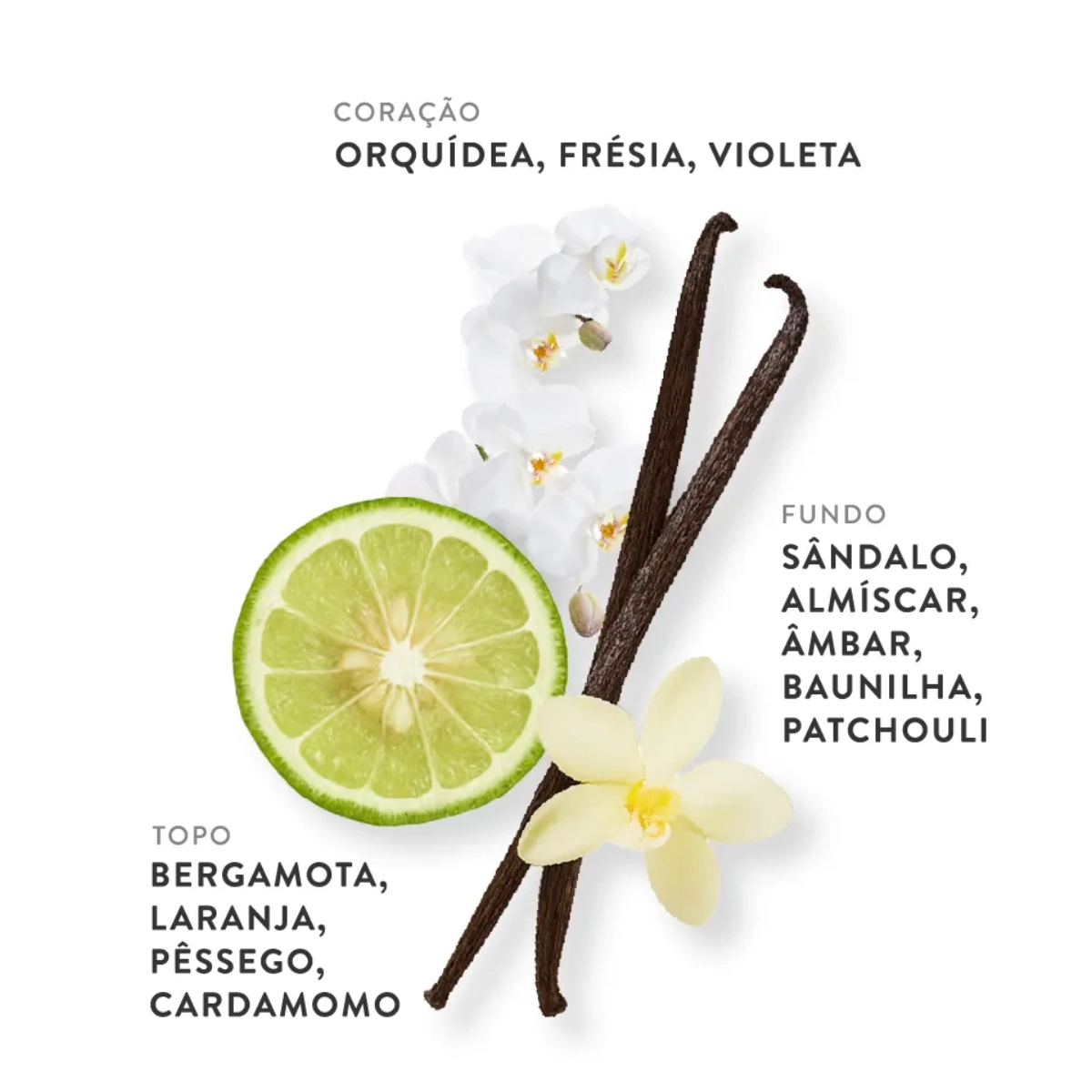 PERFUME ETLEE FREESIA BOUQUET EAU DE PARFUM FEMININO 30ML PERFUME ETLEE FREESIA BOUQUET EAU DE PARFUM FEMININO 30ML