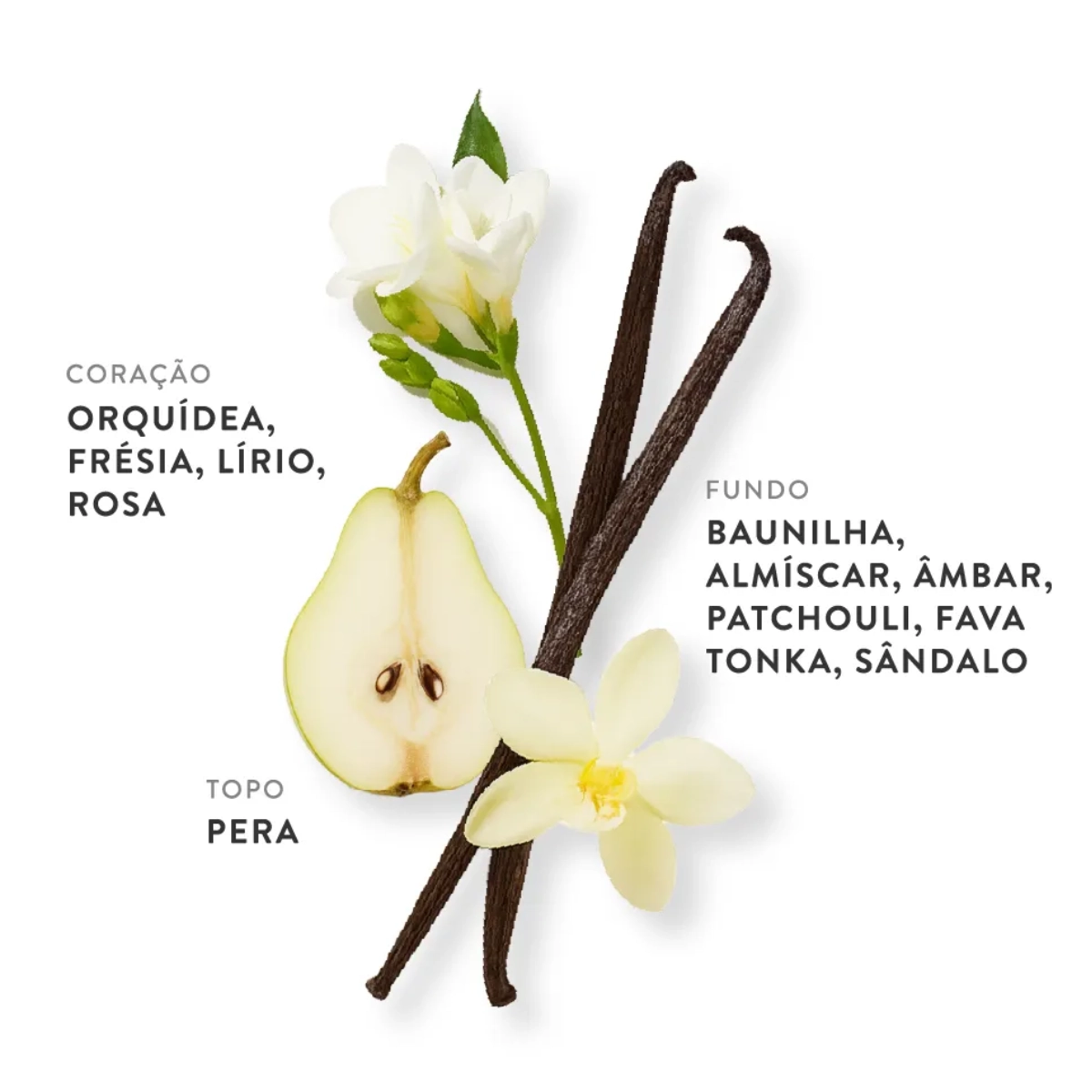PERFUME ETLEE FRENCH VANILLA EAU DE PARFUM FEMININO 30ML