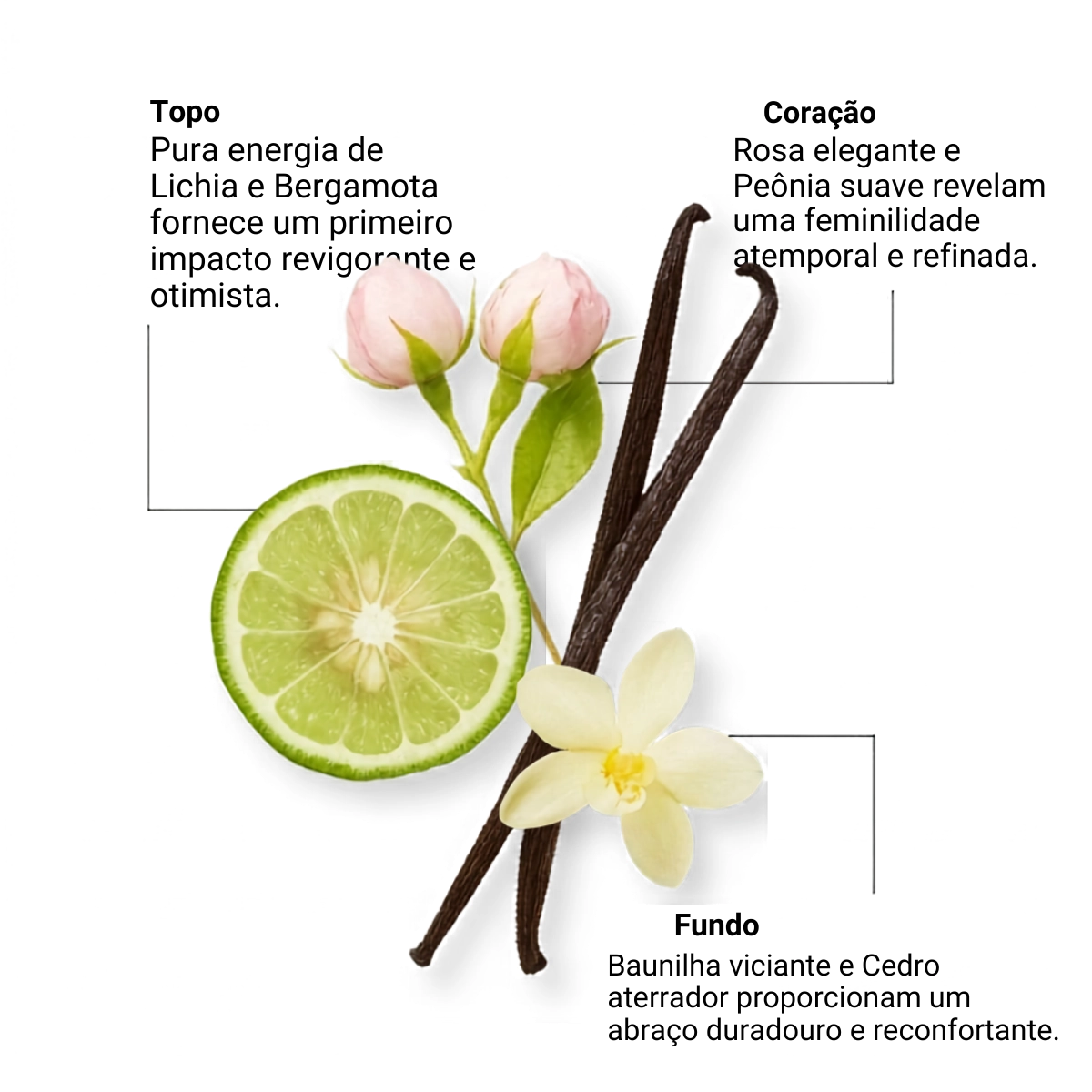 PERFUME ETLEE SPARKLING ROSE EAU DE PARFUM FEMININO 10ML PERFUME ETLEE SPARKLING ROSE EAU DE PARFUM FEMININO 10ML