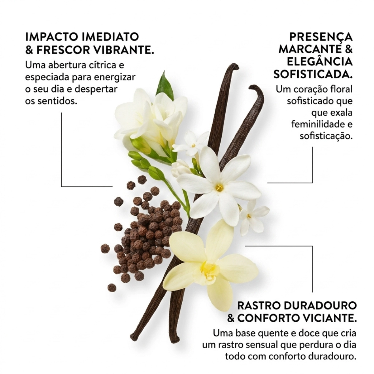 PERFUME ETLEE TOASTED VANILLA EAU DE PARFUM FEMININO 10ML PERFUME ETLEE TOASTED VANILLA EAU DE PARFUM FEMININO 10ML