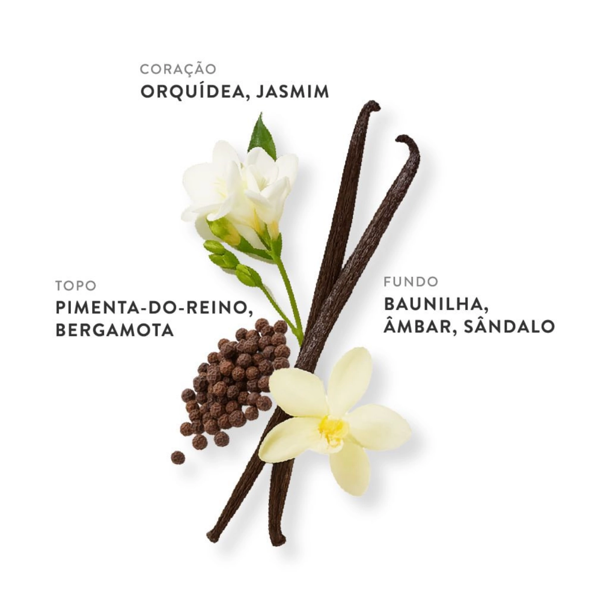 PERFUME ETLEE TOASTED VANILLA EAU DE PARFUM FEMININO 30ML PERFUME ETLEE TOASTED VANILLA EAU DE PARFUM FEMININO 30ML