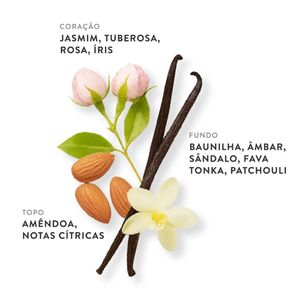 PERFUME ETLEE TWILIGHT BLOOM EAU DE PARFUM FEMININO 30ML PERFUME ETLEE TWILIGHT BLOOM EAU DE PARFUM FEMININO 30ML