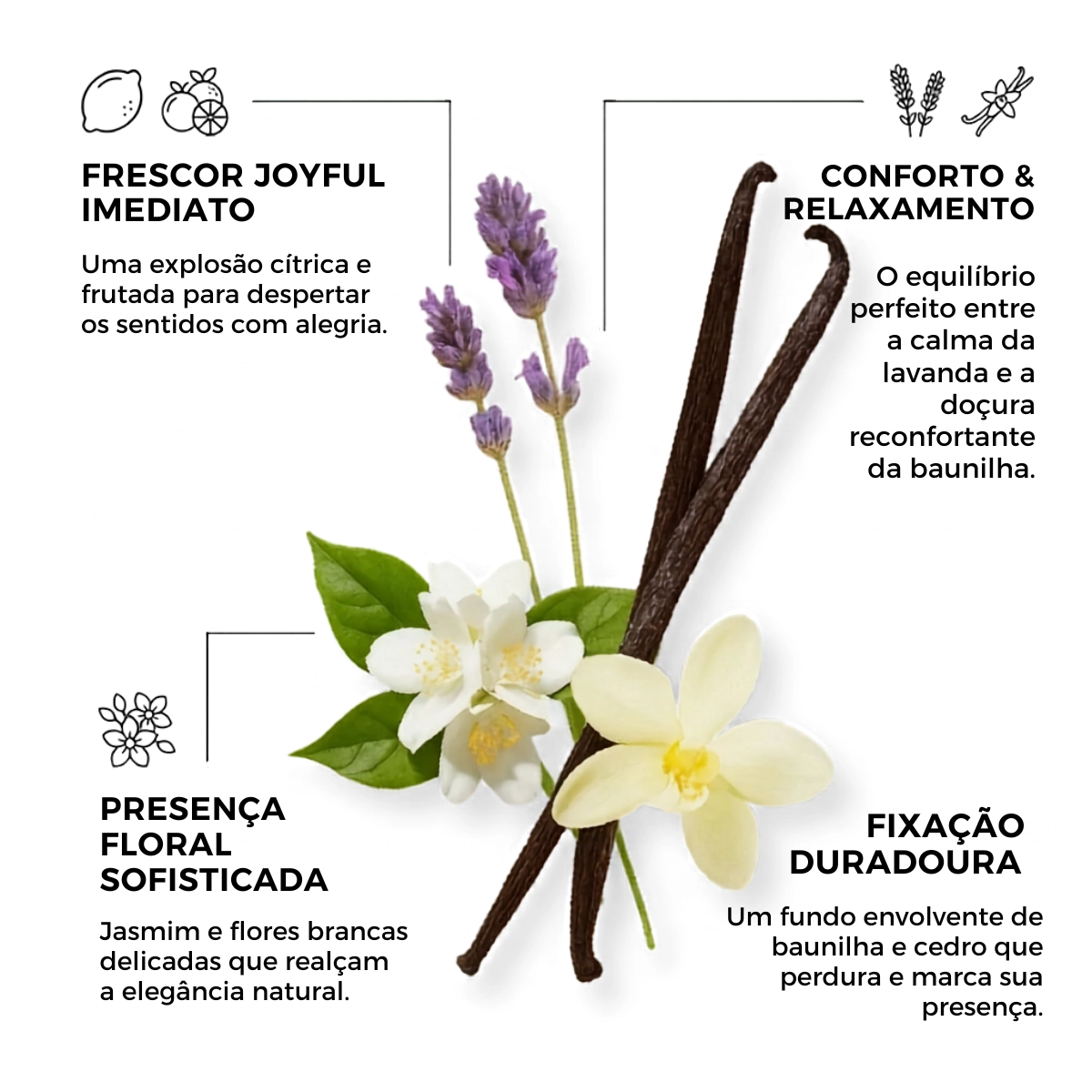PERFUME ETLEE VANILLA E LAVENDE EAU DE PARFUM FEMININO 10ML PERFUME ETLEE VANILLA E LAVENDE EAU DE PARFUM FEMININO 10ML