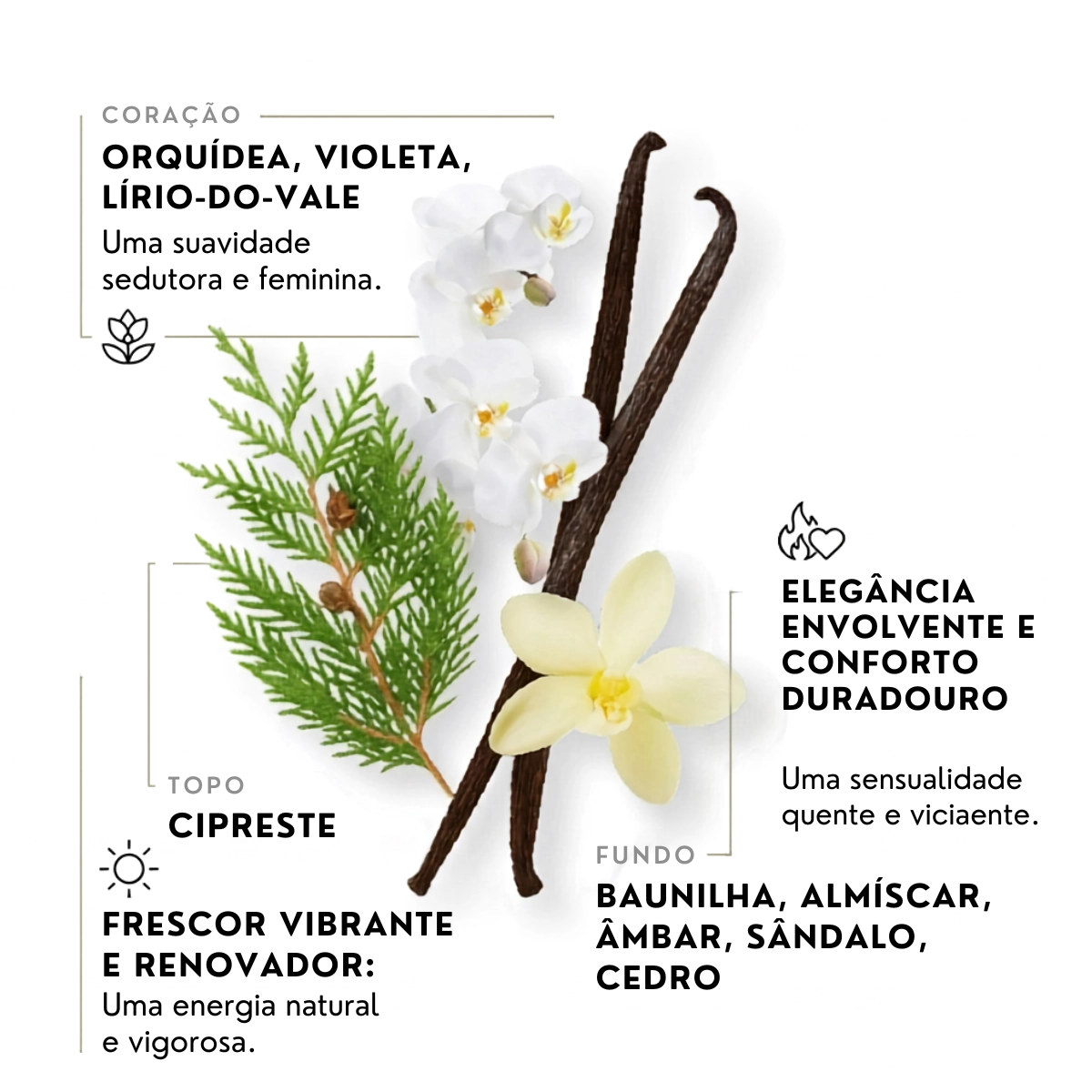 PERFUME ETLEE VANILLA E MUSK EAU DE PARFUM FEMININO 10ML